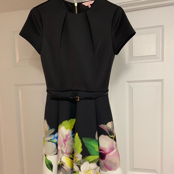 Beautiful Worn Once Ted Backer Short Sleeve Spring Dress Size 0 - Picture 1 of 5